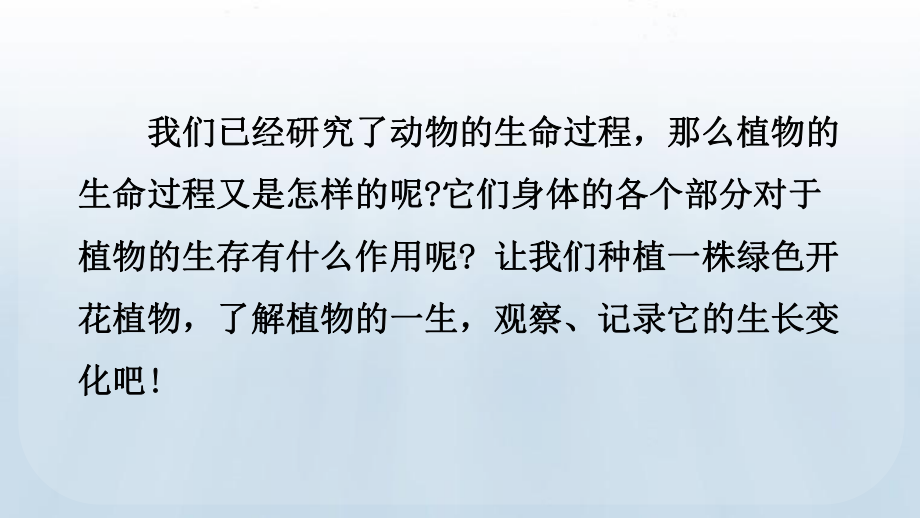 教科版科学四年级下册1.1 种子里孕育着新生命课件.pptx_第2页