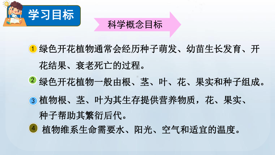 教科版科学四年级下册1.8 凤仙花的一生课件.pptx_第2页