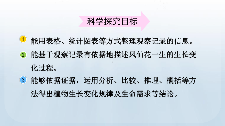 教科版科学四年级下册1.8 凤仙花的一生课件.pptx_第3页