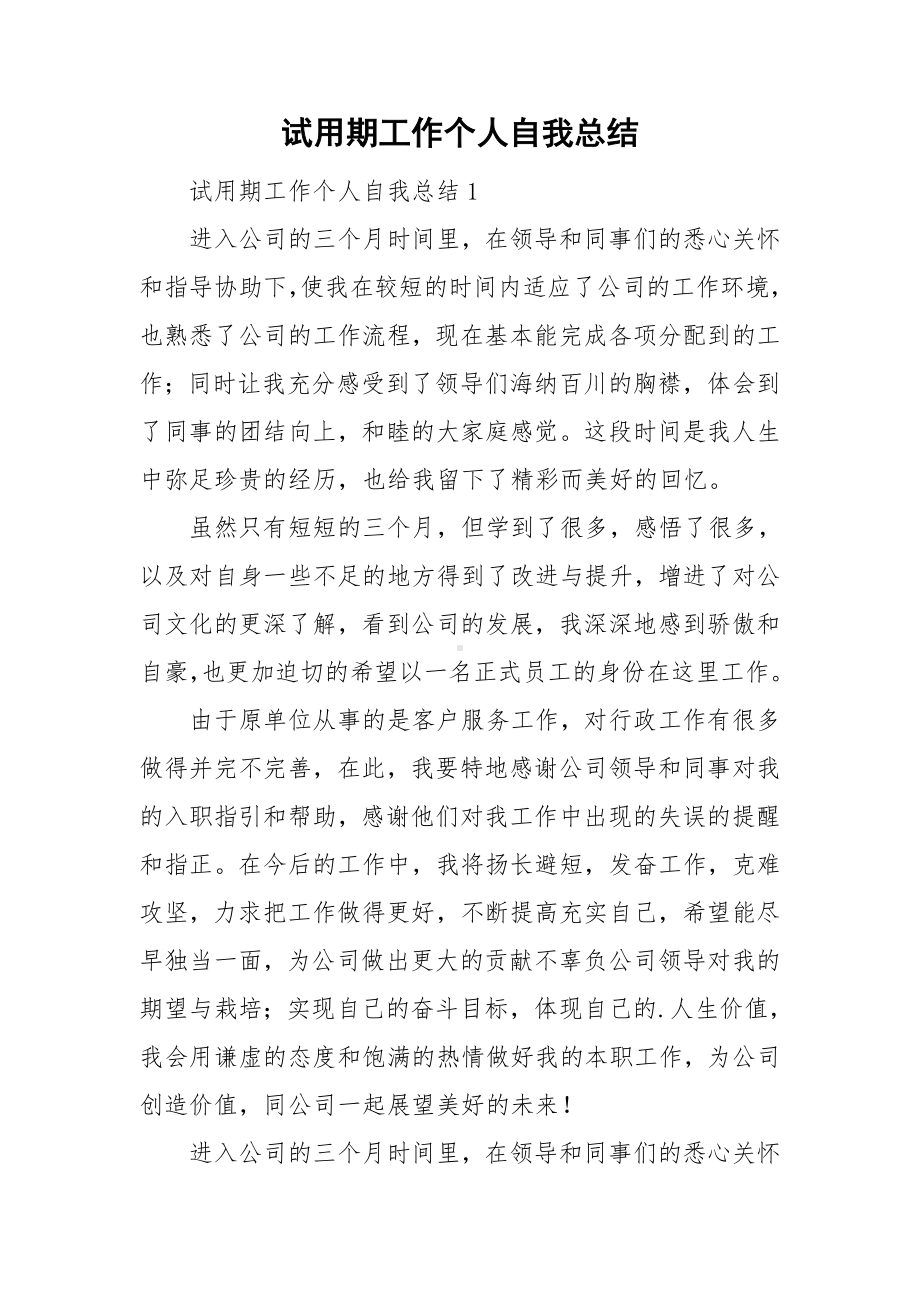 试用期工作个人自我总结.doc_第1页