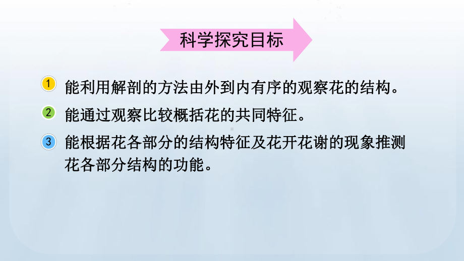 教科版科学四年级下册1.6 果实和种子课件 (2).pptx_第3页