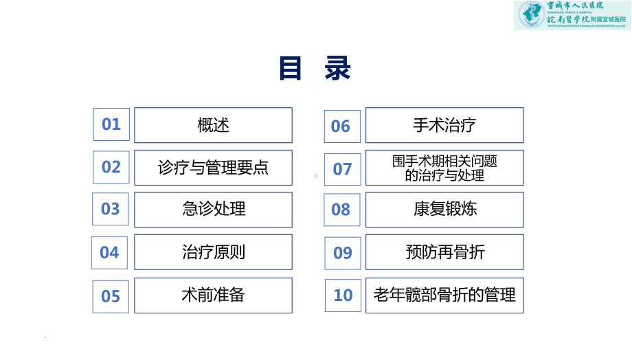 老年髋部骨折诊疗与管理指南（2022年版）.pptx_第2页