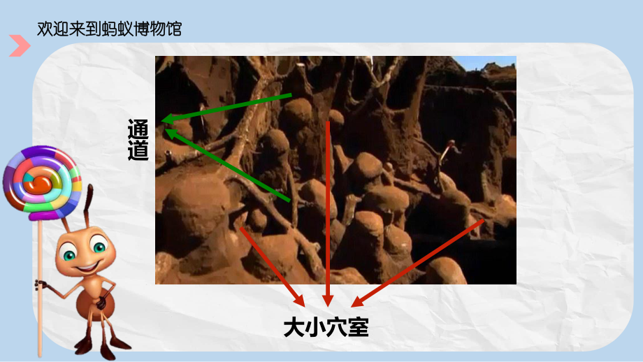 第十七课 地下王国 ppt课件 (共15张PPT)-新湘美版一年级下册《美术》.pptx_第3页