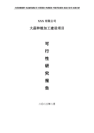 大蒜种植加工建设项目可行性研究报告申请建议书.doc