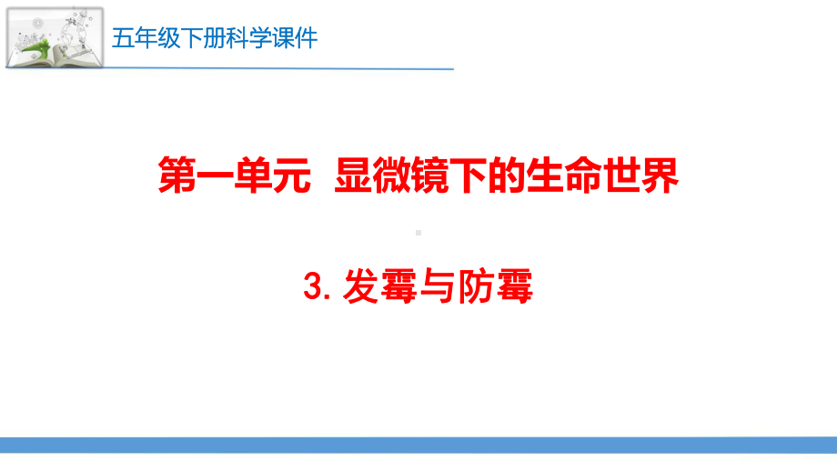 苏教版(2017版)科学五年级下册3.发霉与防霉 课件.pptx_第1页