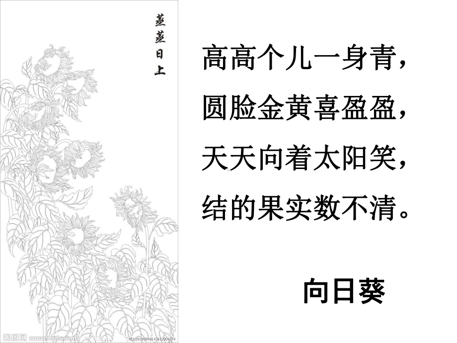 一年级上册美术课外班课件-8、会跳舞的向日葵 全国通用 (共18张PPT).ppt_第2页