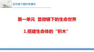 苏教版(2017版)五年级下册科学第一单元《显微镜下的生命世界》课件.pptx