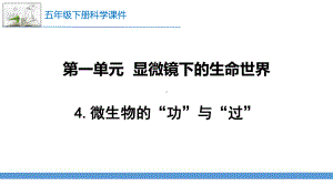 新苏教版科学五年级下册4.微生物的“功”与“过” 课件.pptx