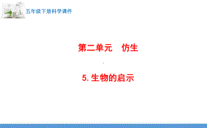 苏教版(2017版)科学五年级下册5.生物的启示 课件.pptx