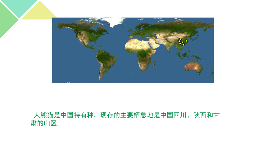 五年级上册美术课外班课件-熊猫的新衣(共12张PPT)-全国通用.pptx_第3页