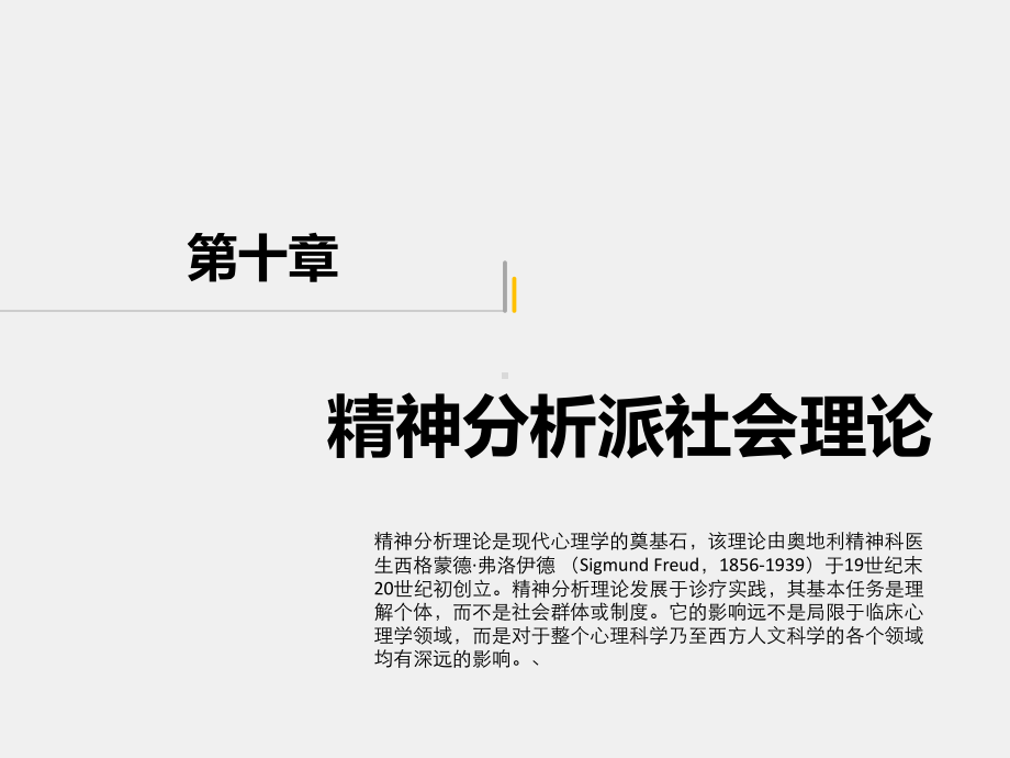 《社会理论》课件第十章.ppt_第1页