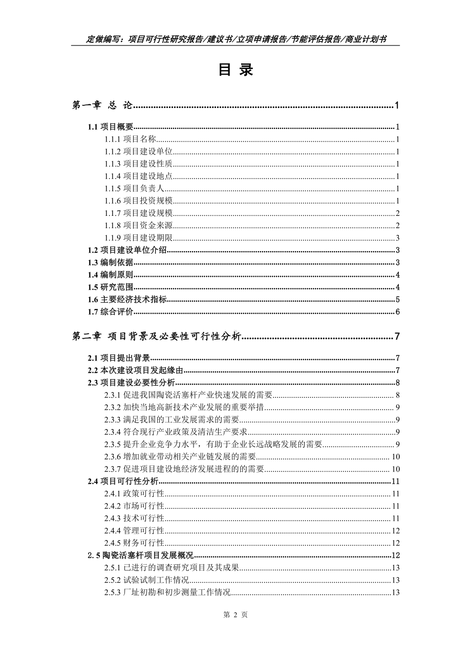 陶瓷活塞杆项目可行性报告（写作模板）.doc_第2页