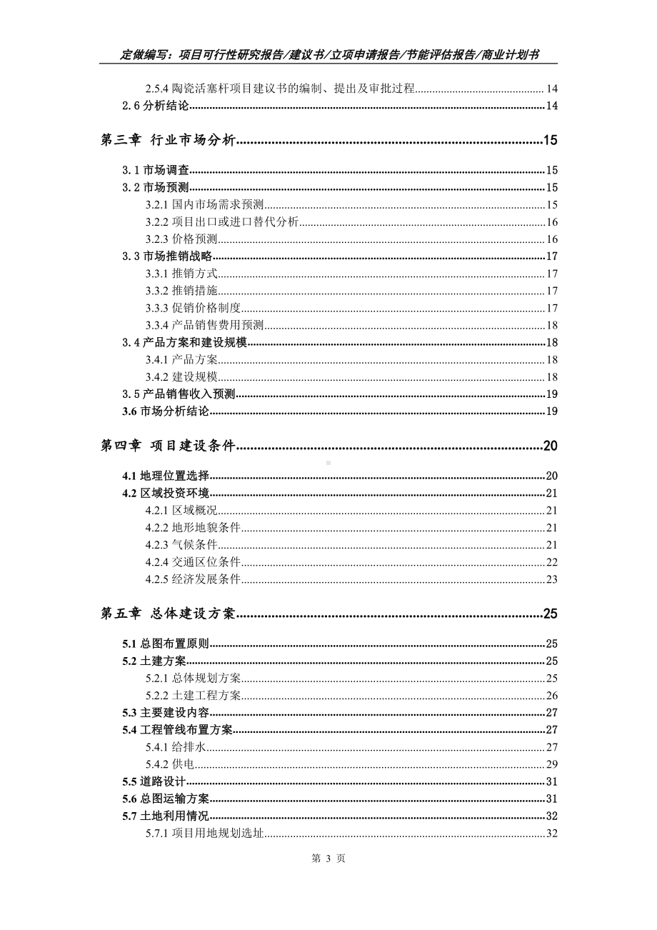 陶瓷活塞杆项目可行性报告（写作模板）.doc_第3页