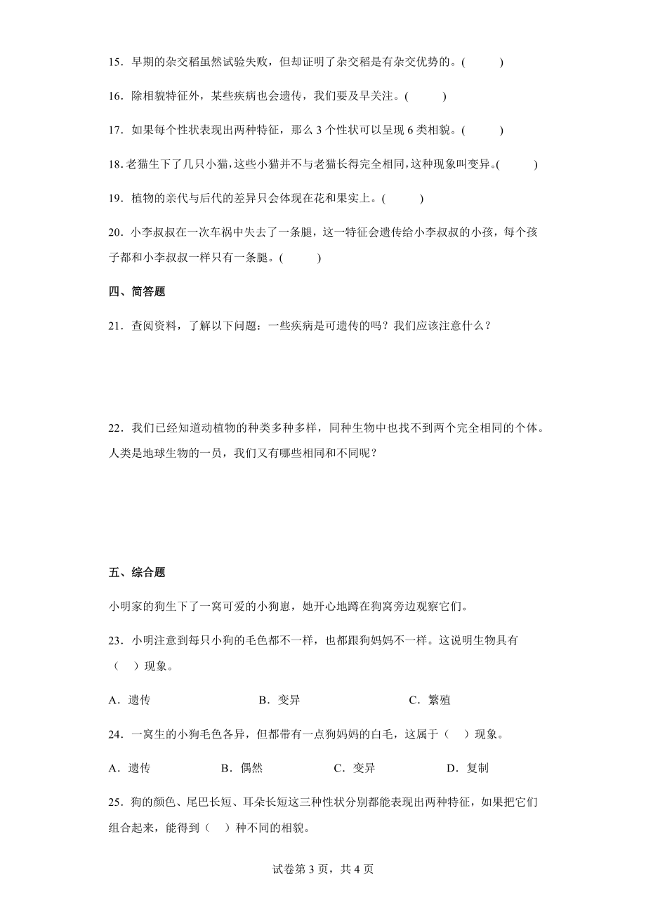 5.相貌各异的我们练习题（含答案）-2023新教科版六年级下册《科学》.docx_第3页