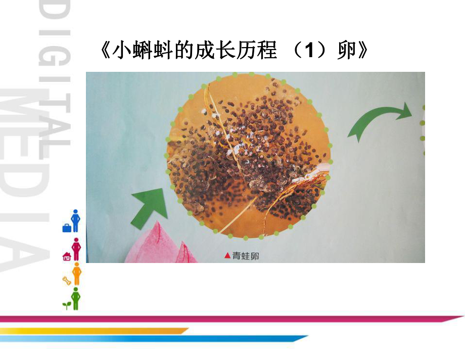 五年级上册美术课外班课件-小蝌蚪找妈妈全国通用 (共11张PPT).ppt_第3页