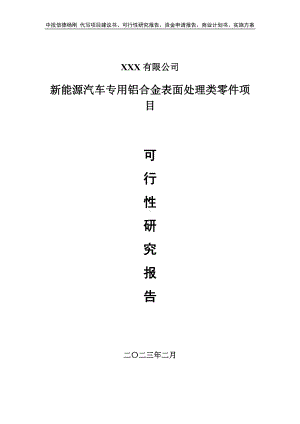 新能源汽车专用铝合金表面处理类零件可行性研究报告建议书.doc