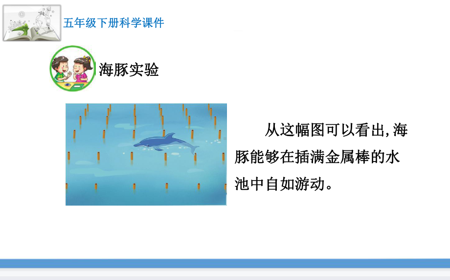 苏教版(2017版)科学五年级下册7.海豚与声呐 课件.pptx_第3页