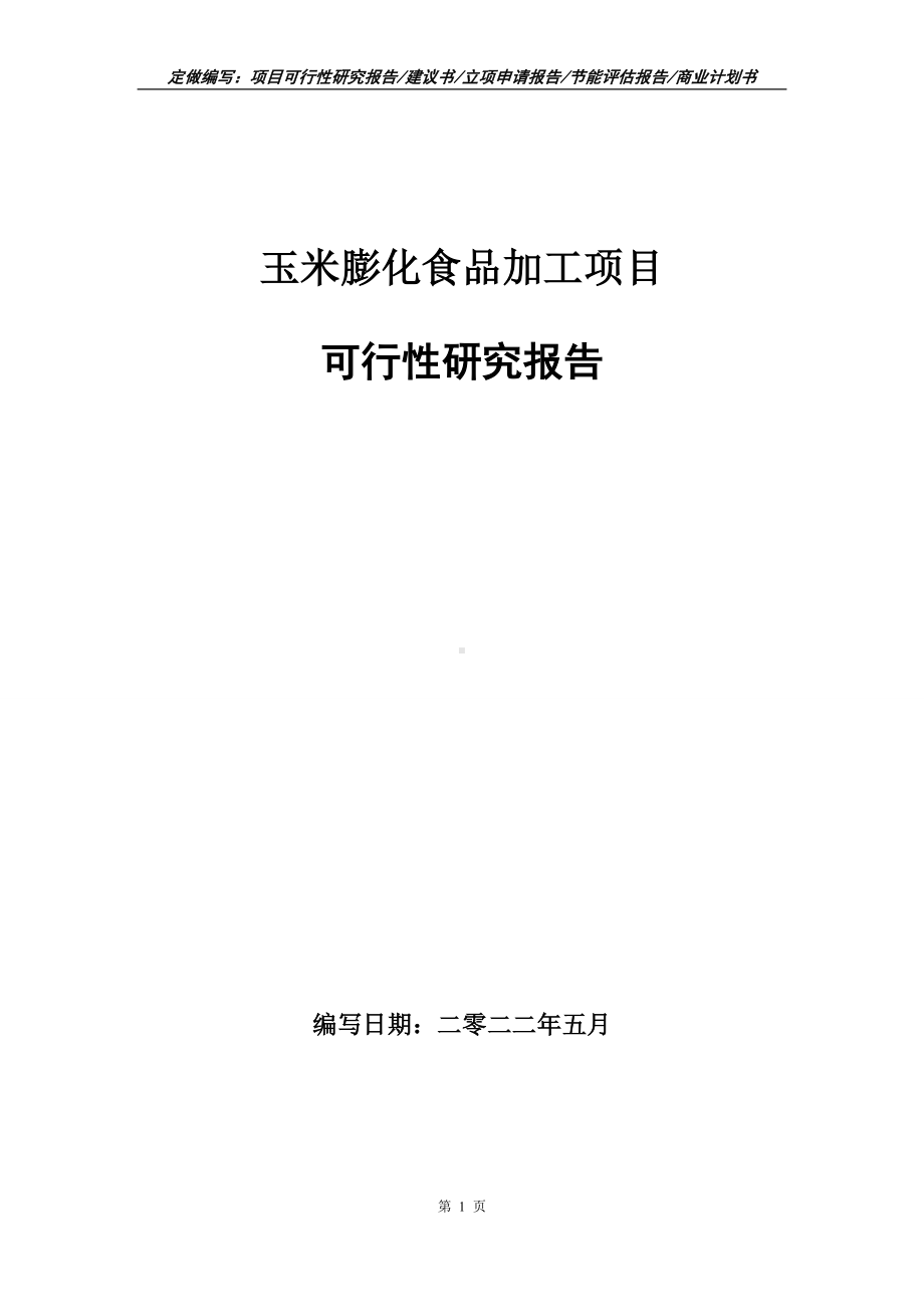 玉米膨化食品加工项目可行性报告（写作模板）.doc_第1页