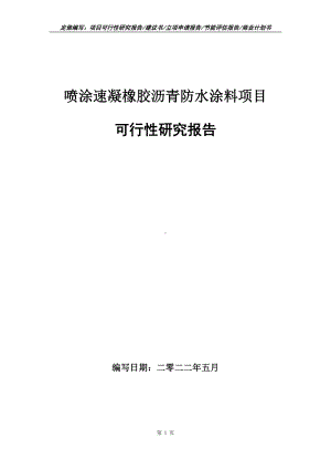 喷涂速凝橡胶沥青防水涂料项目可行性报告（写作模板）.doc