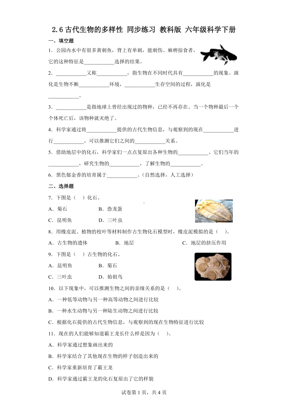 6.古代生物的多样性练习题（含答案）-2023新教科版六年级下册《科学》.docx_第1页