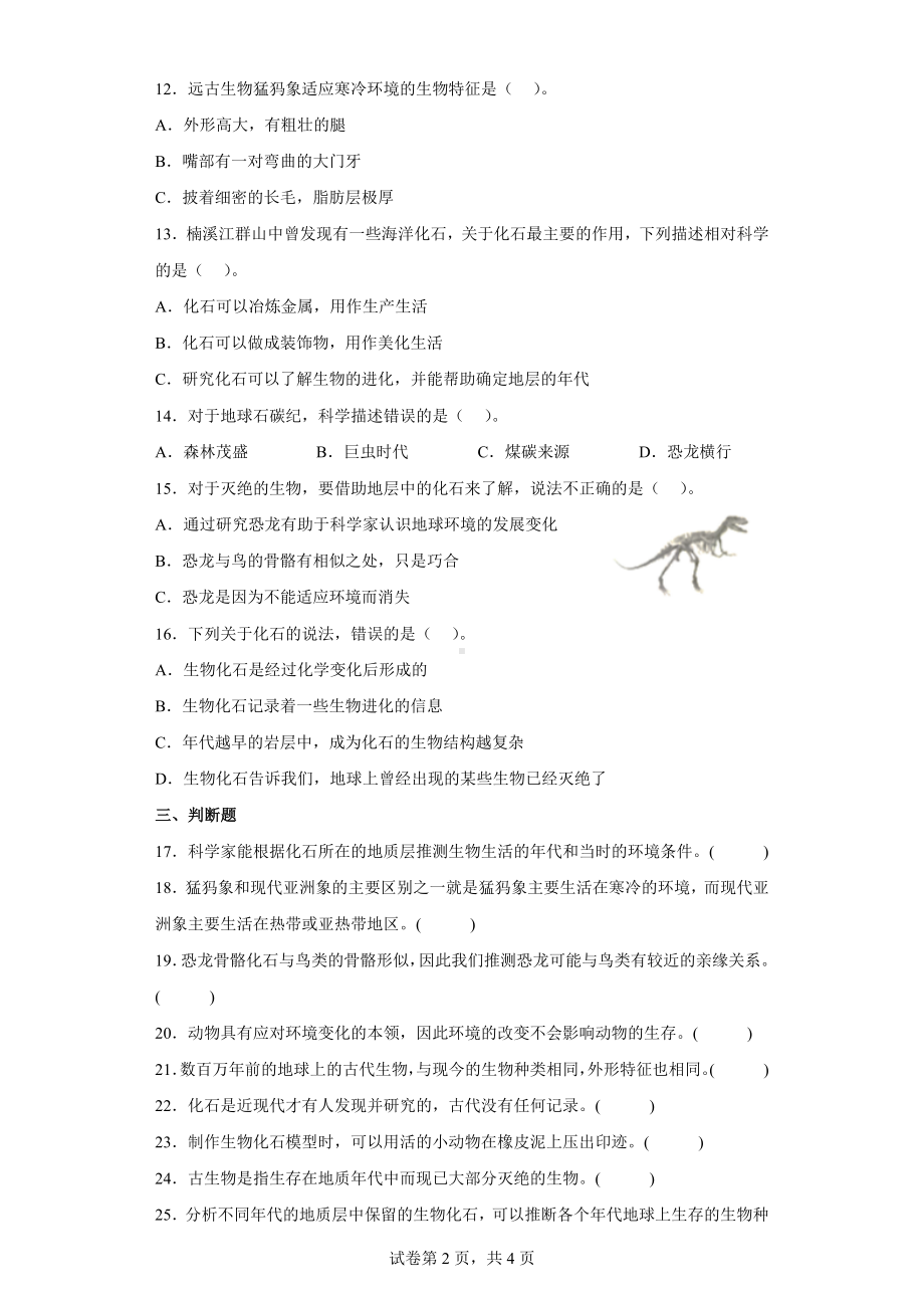 6.古代生物的多样性练习题（含答案）-2023新教科版六年级下册《科学》.docx_第2页