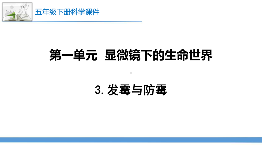 新苏教版科学五年级下册3.发霉与防霉 课件.pptx_第1页