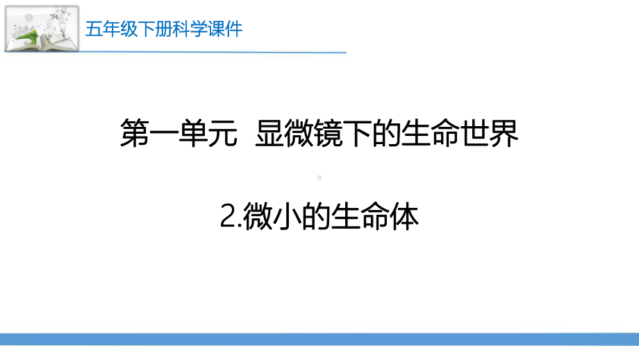 新苏教版科学五年级下册2.微小的生命体 课件.pptx_第1页