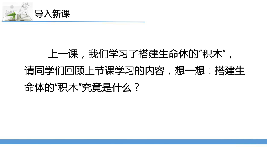 新苏教版科学五年级下册2.微小的生命体 课件.pptx_第2页