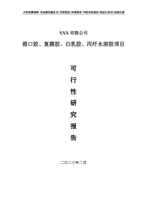 搭口胶、复膜胶、白乳胶、丙纤水溶胶可行性研究报告.doc