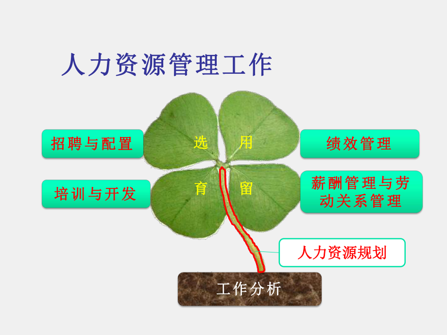 《招聘与配置》课件情景一 确定招聘目标和流程.ppt_第3页