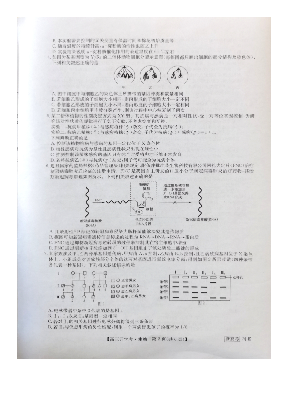 九师联盟2022-2023学年高三下学期开学考试（新高考）生物试题及答案.pdf_第2页