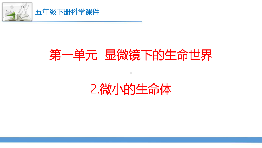 苏教版(2017版)科学五年级下册2.微小的生命体 课件.pptx_第1页