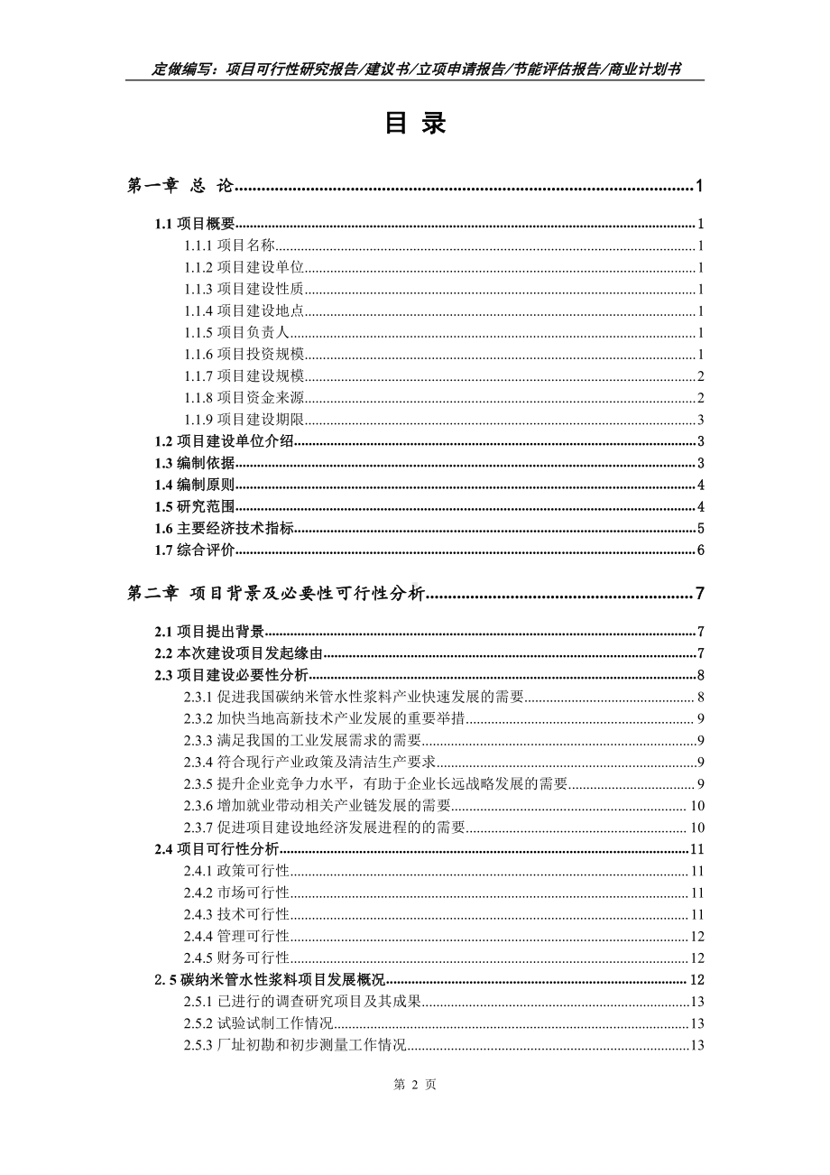 碳纳米管水性浆料项目可行性报告（写作模板）.doc_第2页