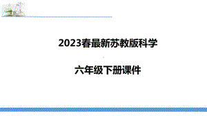 苏教版(2017版)六年级下册科学第1-2单元课件.pptx