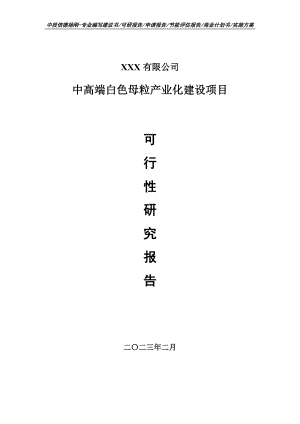 中高端白色母粒产业化建设可行性研究报告建议书.doc