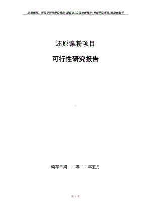 还原镍粉项目可行性报告（写作模板）.doc