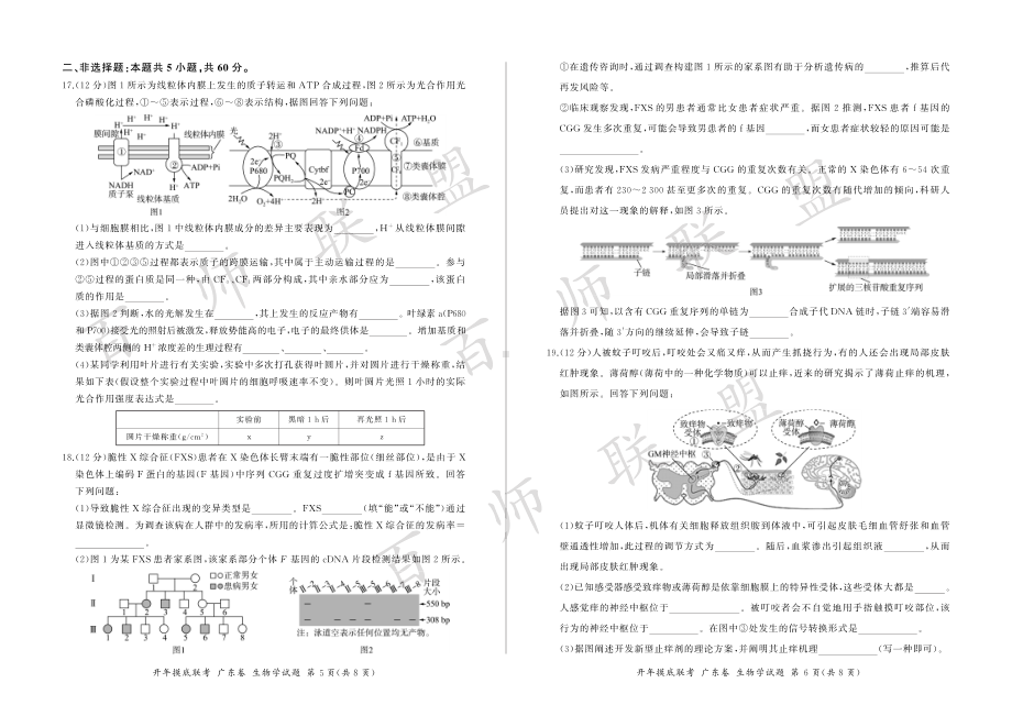 2023届百师联盟高三下学期开学联考生物试卷及答案（广东卷）.pdf_第3页