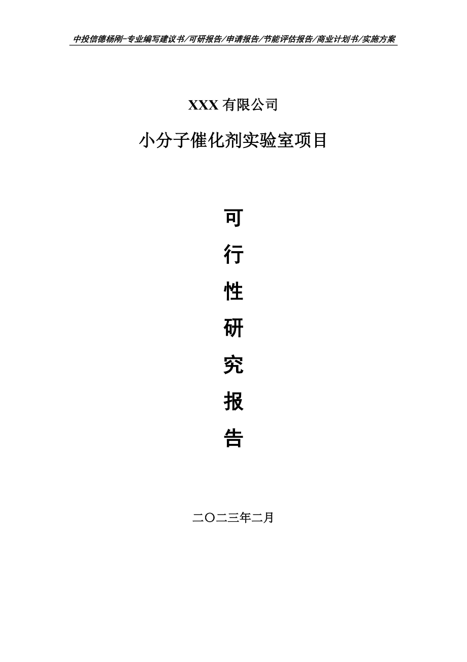 小分子催化剂实验室项目可行性研究报告建议书.doc_第1页