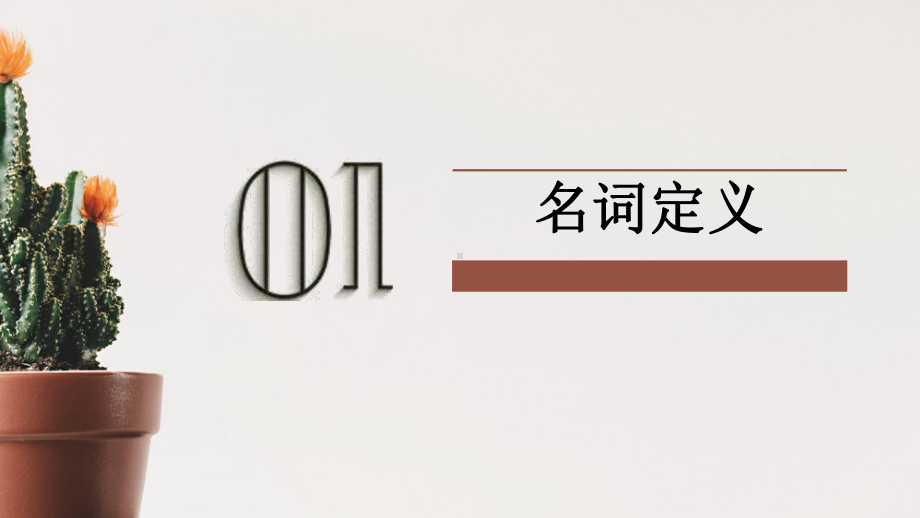 2022年中考英语语法--名词ppt课件.pptx_第3页