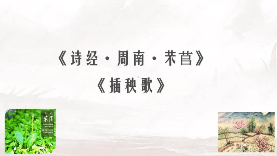 6.《芣苢》《插秧歌》ppt课件21张-（部）统编版《高中语文》必修上册.pptx_第1页