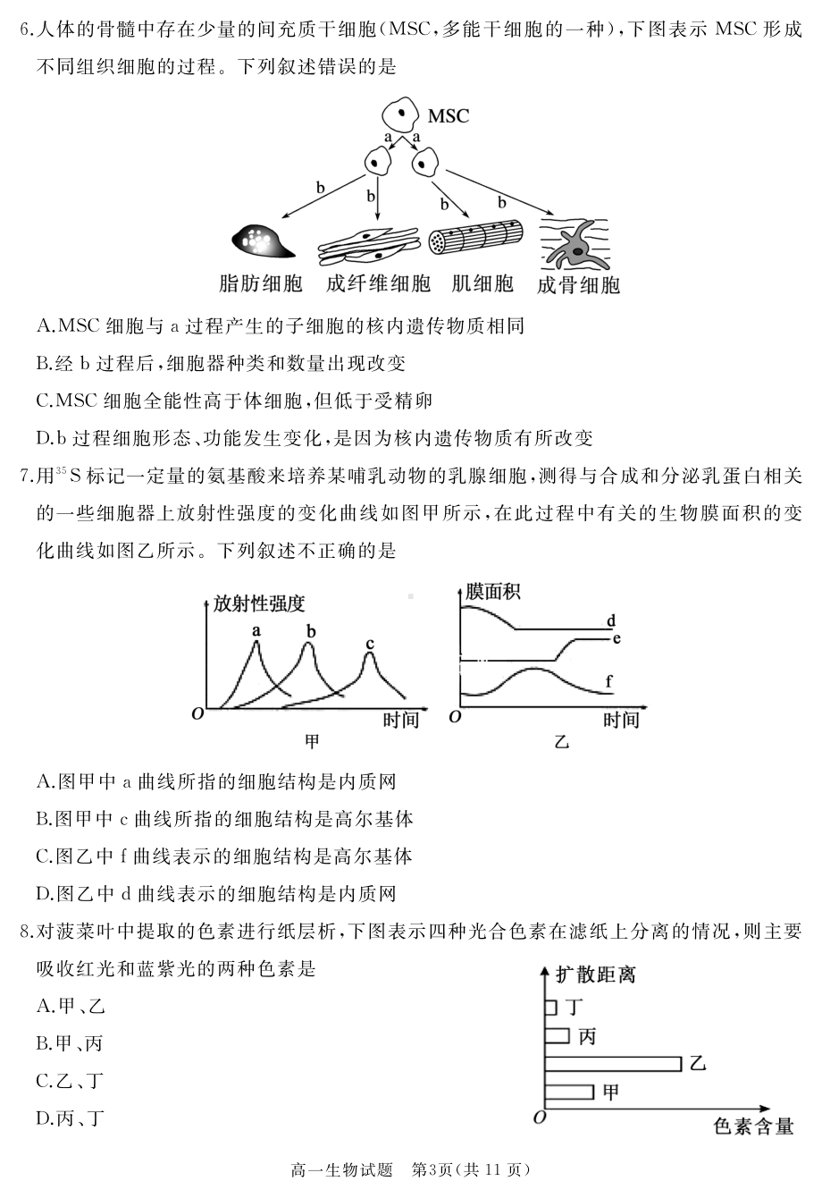 山东省枣庄市滕州市2022-2023学年高一上学期2月期末质量检测生物.pdf_第3页