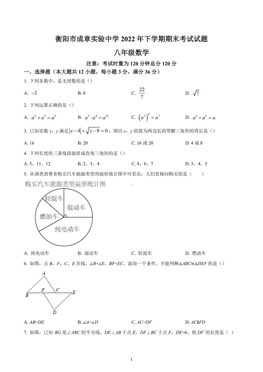 湖南省衡阳市成章实验中学2022-2023学年八年级上学期期末考试数学试题.docx_第1页