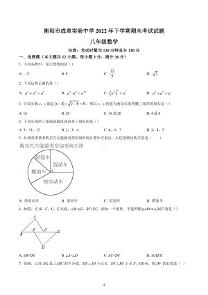 湖南省衡阳市成章实验中学2022-2023学年八年级上学期期末考试数学试题.docx