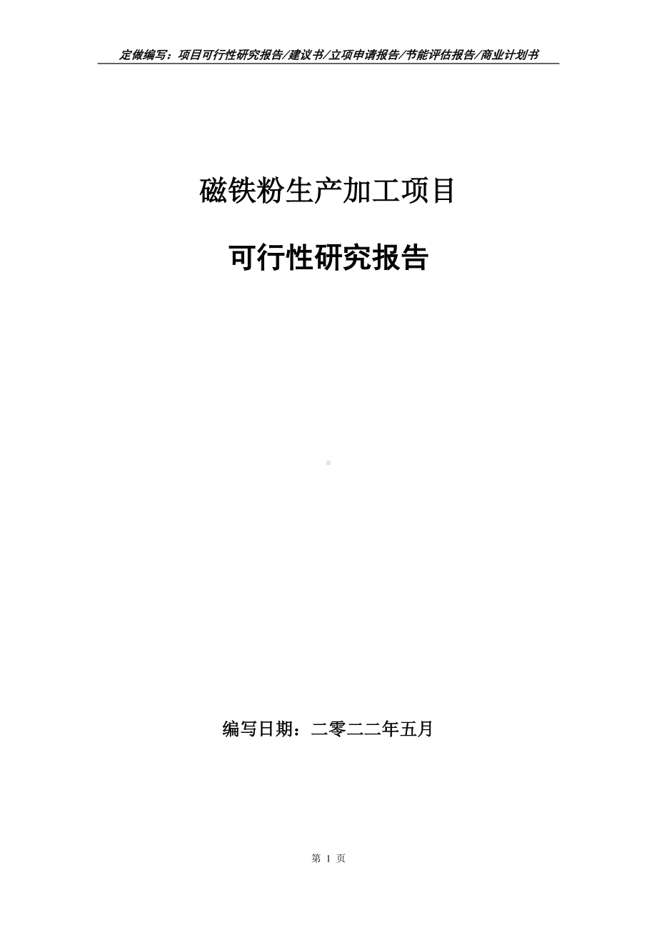 磁铁粉生产加工项目可行性报告（写作模板）.doc_第1页