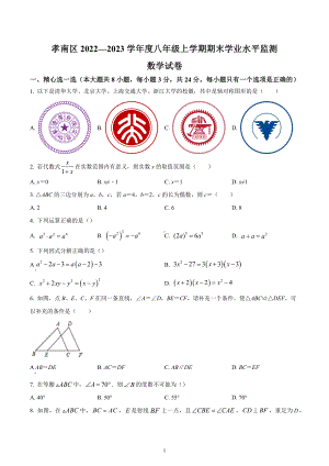 湖北省孝感市孝南区2022-2023学年八年级上学期期末学业水平监测数学试卷.docx