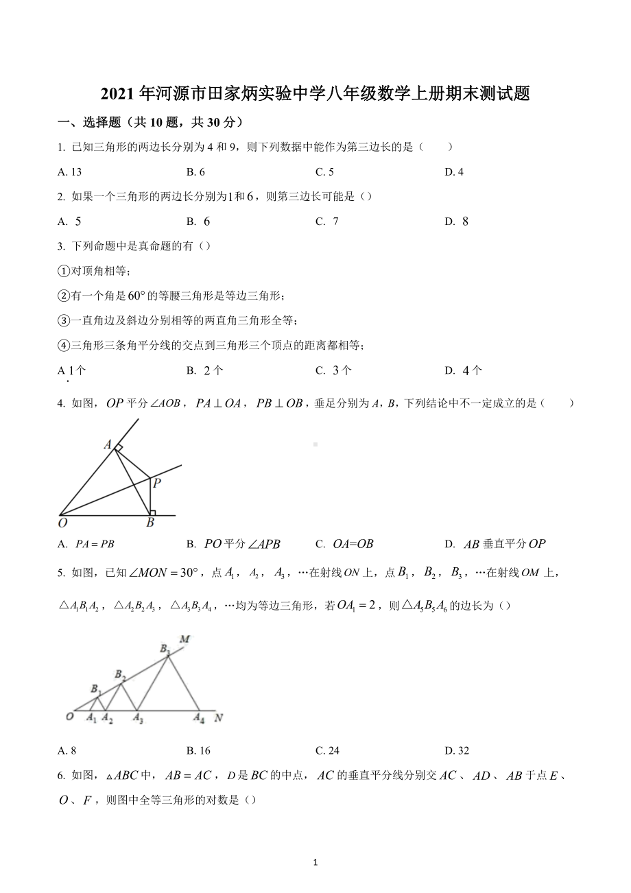 广东省河源市田家炳实验中学2021-2022学年八年级数学上学期期末数学测试题.docx_第1页