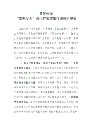 某某分局“三向发力”强化打击突出传统侵财犯罪总结.doc