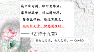 古诗词诵读《涉江采芙蓉》ppt课件25张-（部）统编版《高中语文》必修上册.pptx