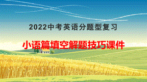 2022年中考英语分题型复习：小语篇填空解题技巧ppt课件.pptx