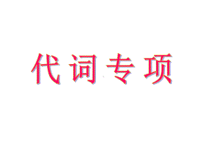 2021年中考语法专题代词讲解及练习ppt课件.pptx